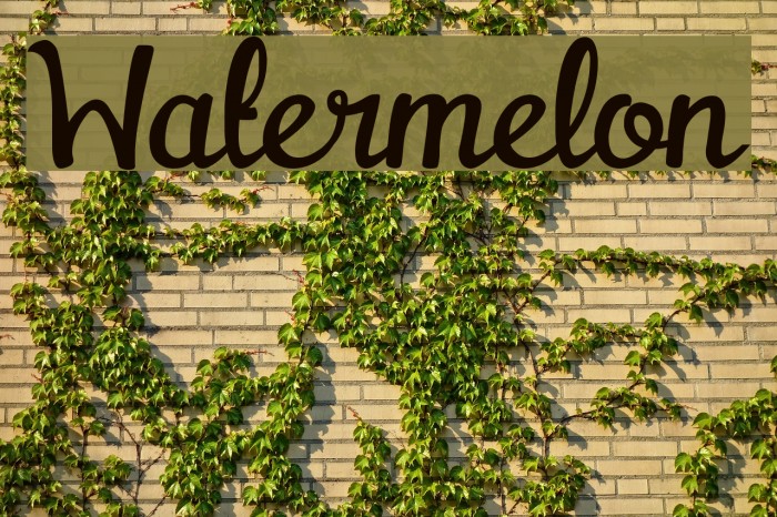 Watermelon Font examples