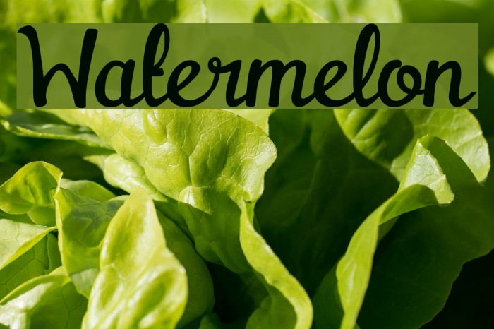 Watermelon Font examples