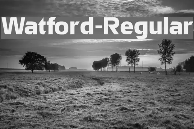 Watford-Regular Font examples