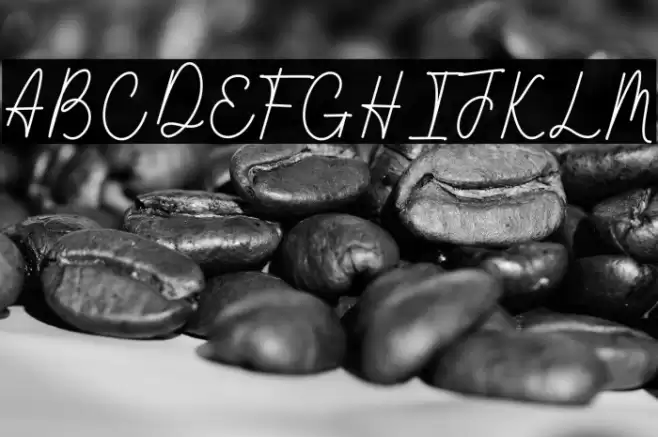 Wathanda Signature Line Шрифта examples