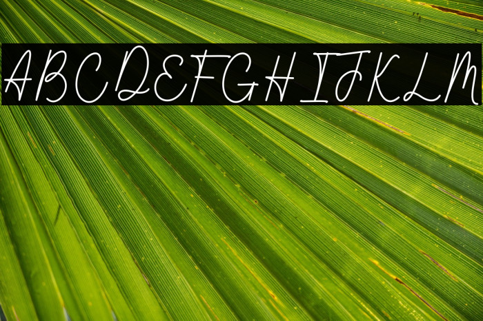 Wathanda Signature Line Example 2