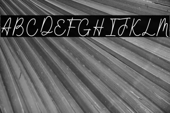 Wathanda Signature Line Шрифта examples