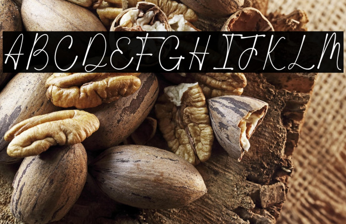 Wathanda Signature Example 3