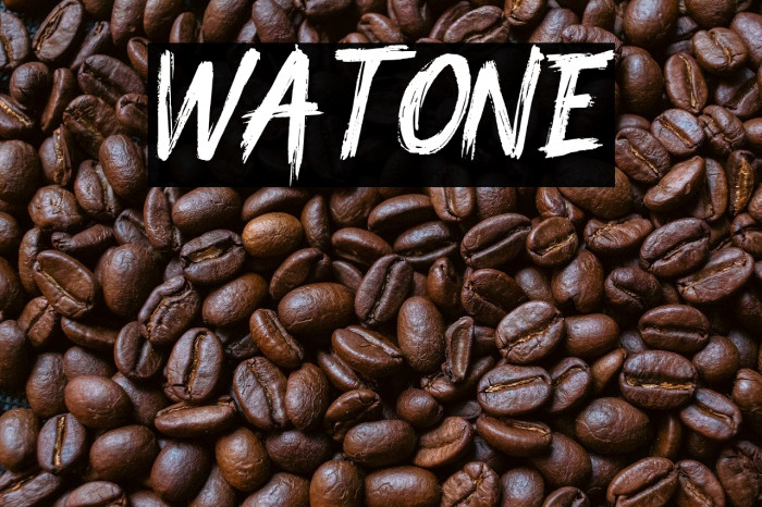 Watone Example 1