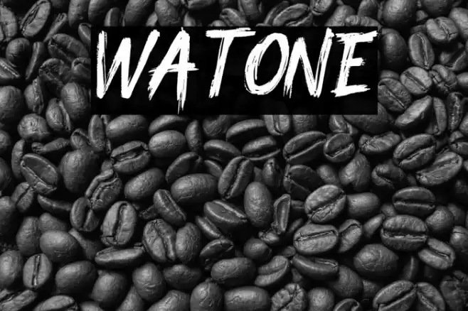 Watone Font examples