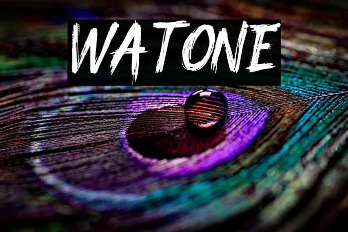 Watone Example 2