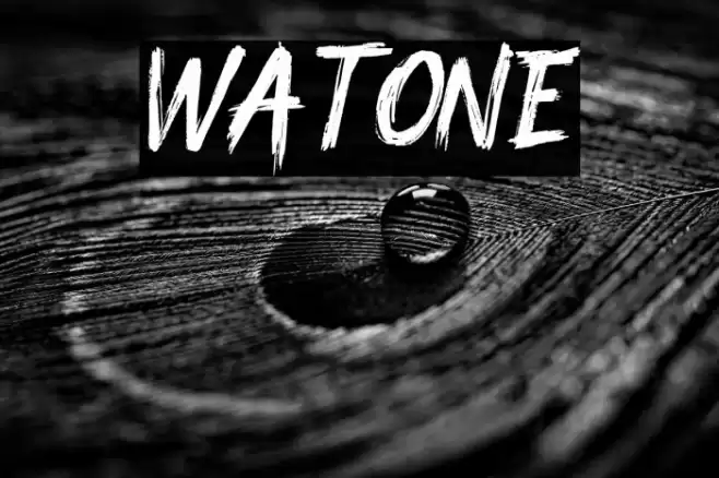 Watone Font examples
