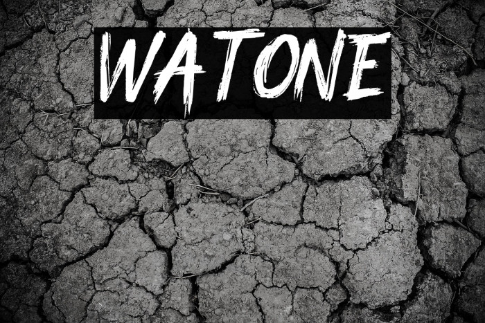 Watone Example 3