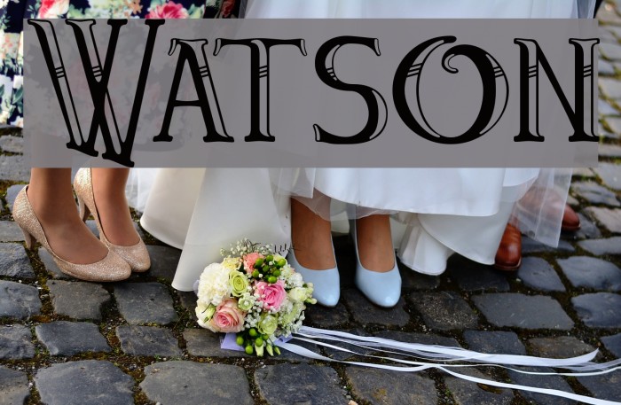 Watson Fonte examples