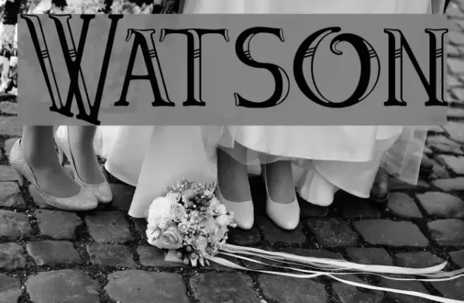 Watson Fonte examples