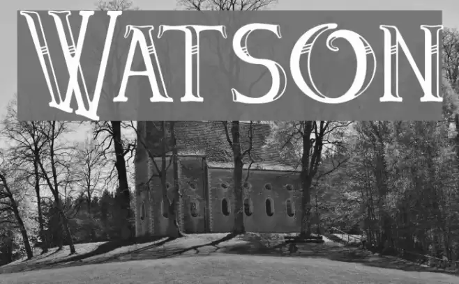 Watson Fonte examples