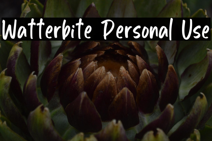 Watterbite Personal Use Example 3