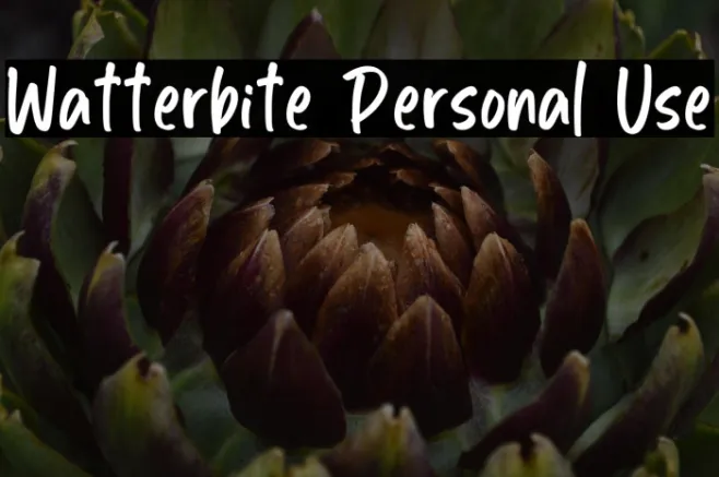 Watterbite Personal Use Example 3