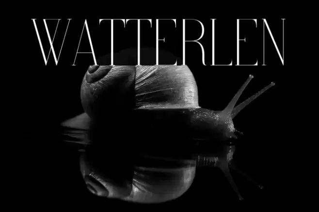 Watterlen Font examples