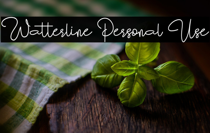 Watterline Personal Use Example 1