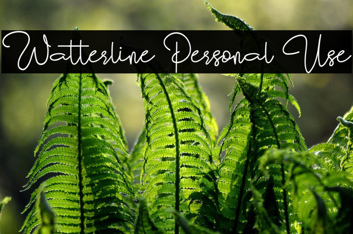 Watterline Personal Use Example 2