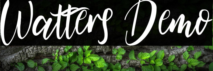Watters Demo Example 2