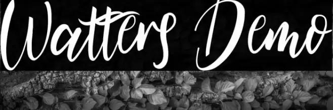 Watters Demo Font examples