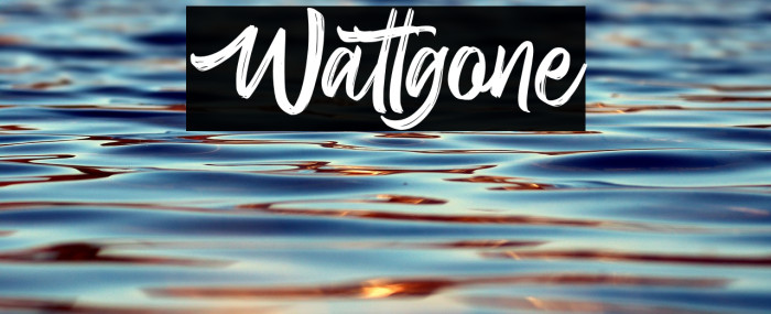 Wattgone Example 3