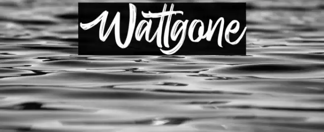 Wattgone Font examples