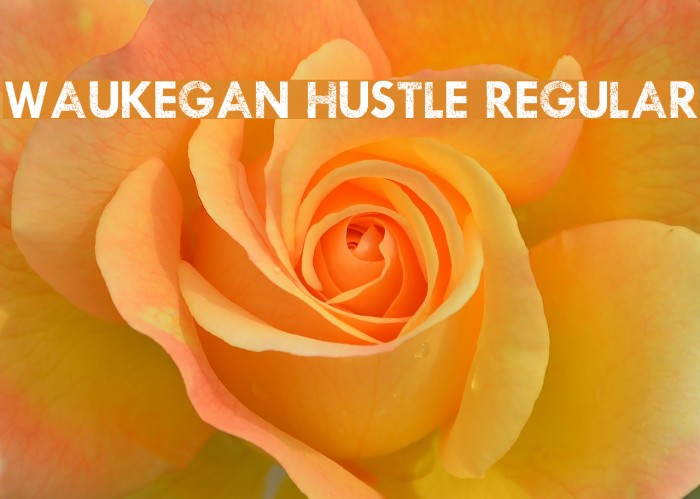 Waukegan Hustle Regular Font examples