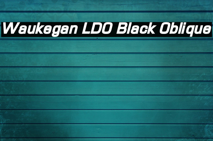 Waukegan LDO Black Oblique Example 3