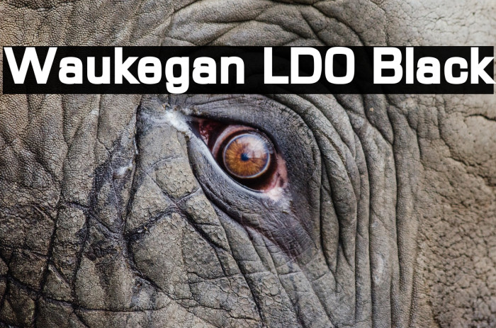 Waukegan LDO Black Font examples