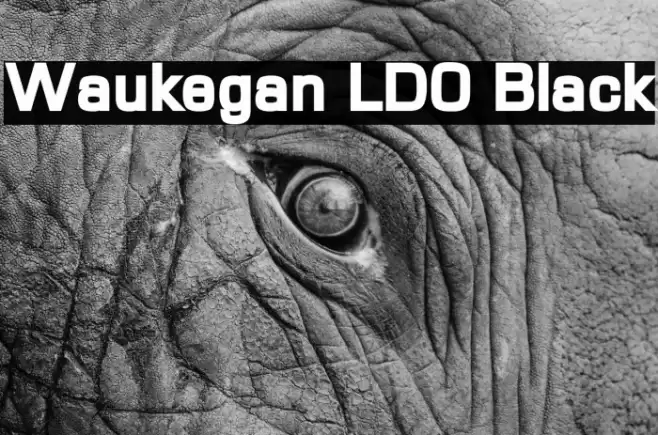 Waukegan LDO Black Font examples