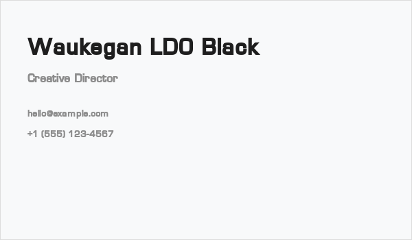 Waukegan LDO Black Business Card