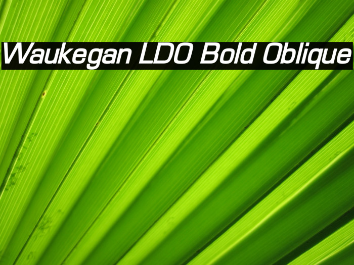 Waukegan LDO Bold Oblique Font examples