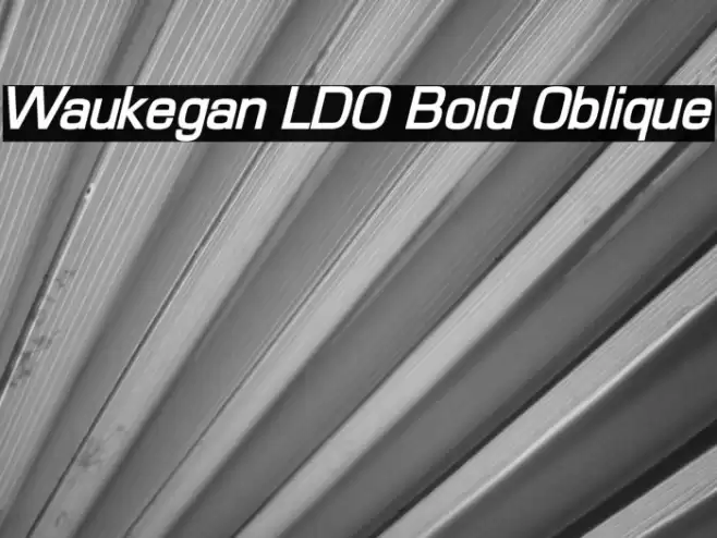 Waukegan LDO Bold Oblique Fonte examples