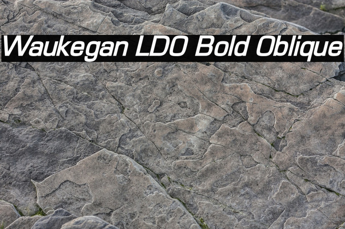 Waukegan LDO Bold Oblique Font examples