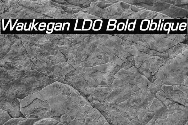 Waukegan LDO Bold Oblique Fonte examples