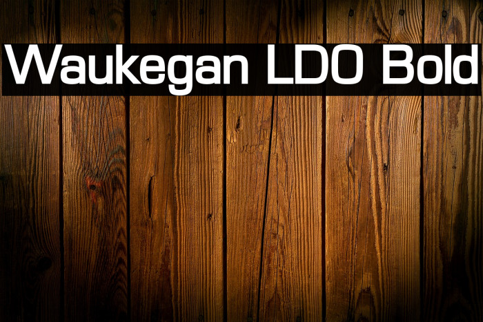 Waukegan LDO Bold Font examples