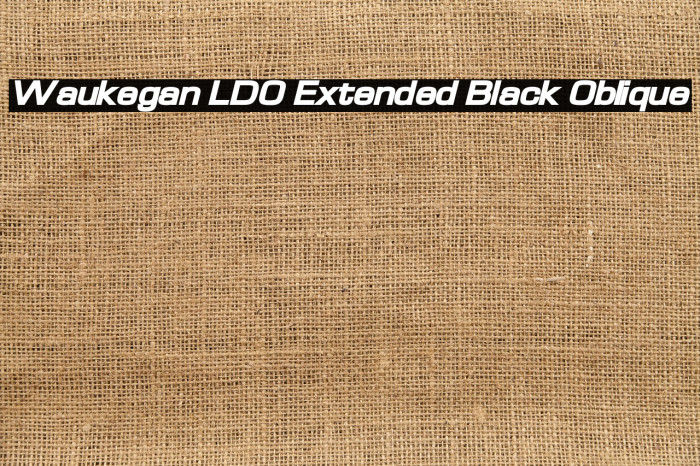 Waukegan LDO Extended Black Oblique Font examples