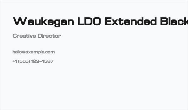 Waukegan LDO Extended Black Business Card