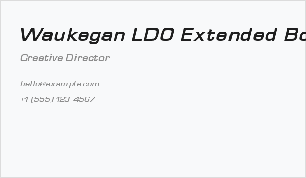 Waukegan LDO Extended Bold Oblique Business Card