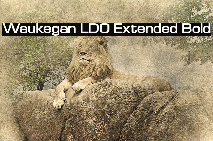 Waukegan LDO Extended Bold Font examples