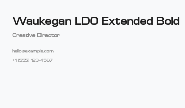 Waukegan LDO Extended Bold Business Card