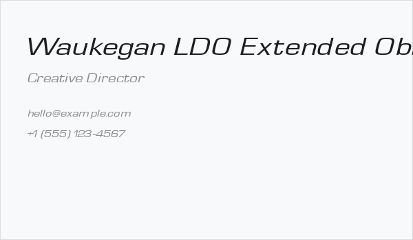 Waukegan LDO Extended Oblique Business Card