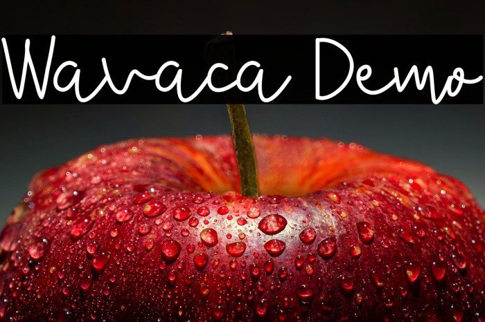 Wavaca Demo Example 1