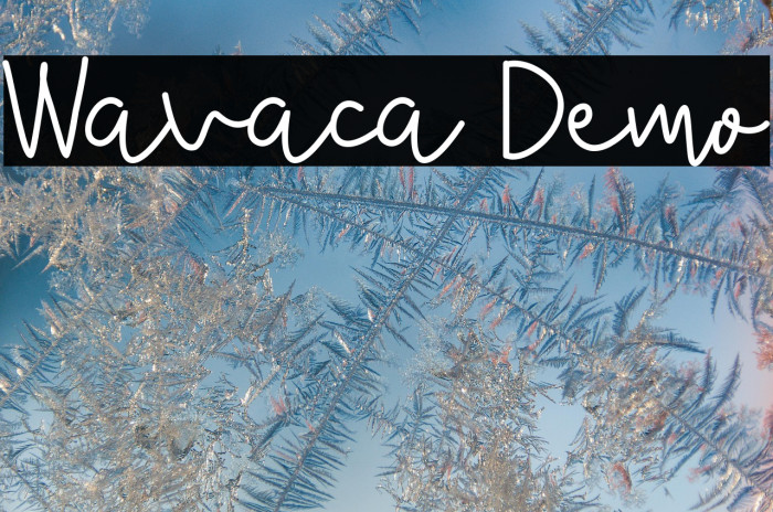 Wavaca Demo Example 2