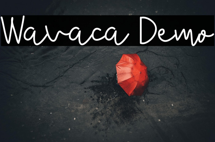 Wavaca Demo Example 3
