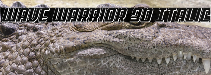 Wave Warrior 3D Italic Example 3