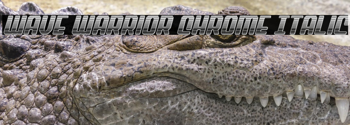 Wave Warrior Chrome Italic Example 3