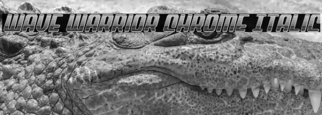 Wave Warrior Chrome Italic Font examples