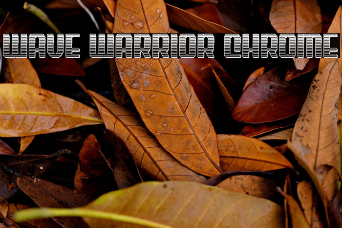 Wave Warrior Chrome Example 1