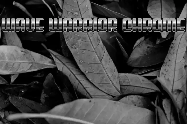 Wave Warrior Chrome Font examples