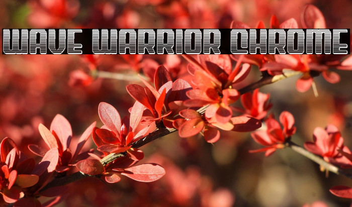 Wave Warrior Chrome Example 3