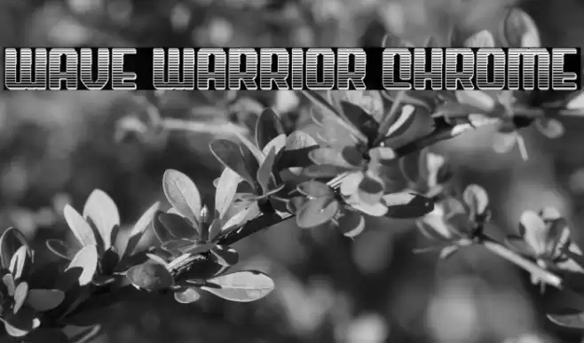 Wave Warrior Chrome Font examples
